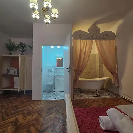 Ludovic Boutique Апартаменты Брашов