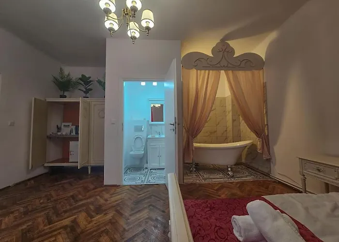 Ludovic Boutique Apartman Brassó